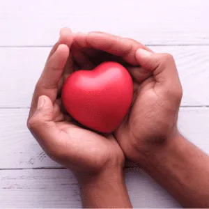 Hands holding foam heart