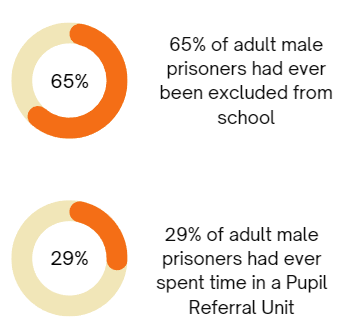 A diagram showing school exclusion data