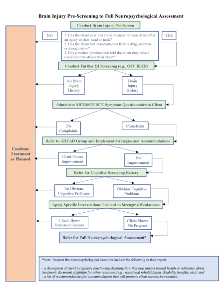 An Overview of the Best Practice Guidelines for Probationers with Brain ...