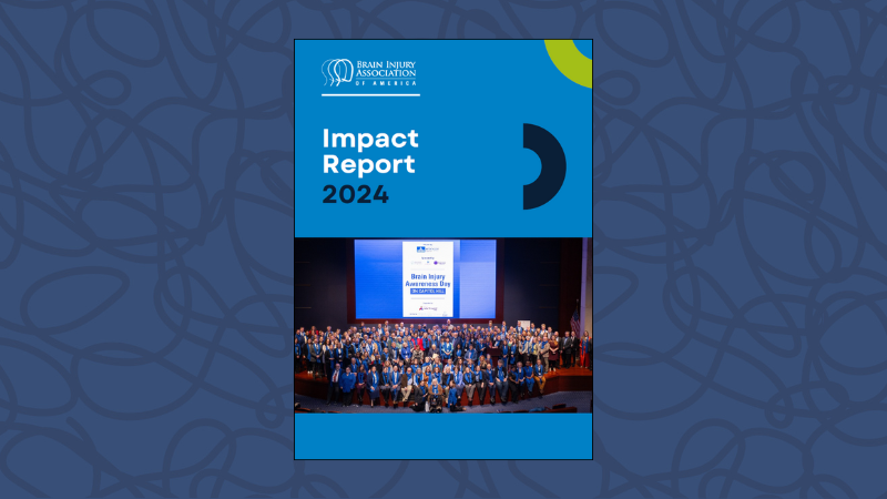 BIAA's 2024 Impact Report cover