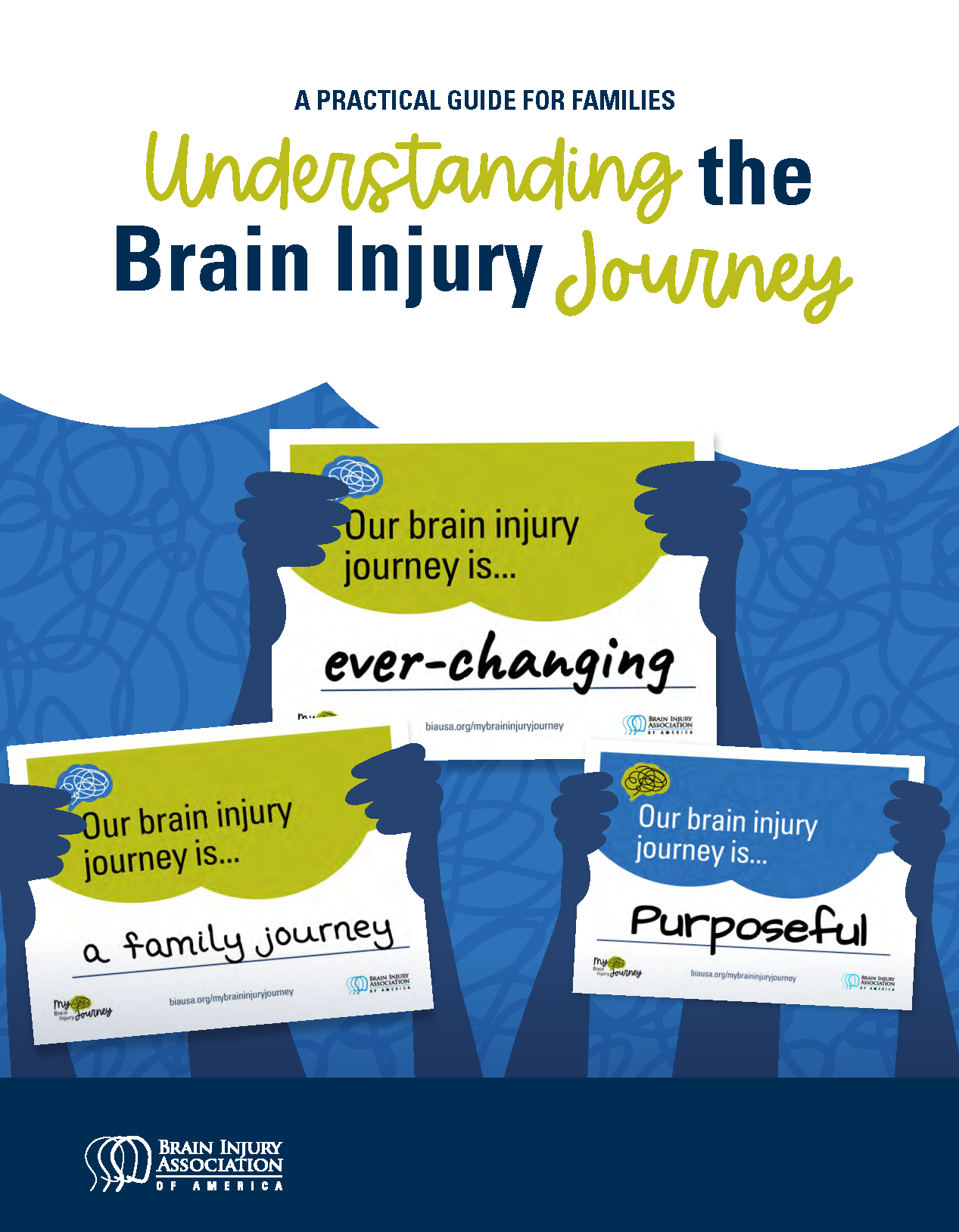 Practical Guide - Brain Injury Association of America