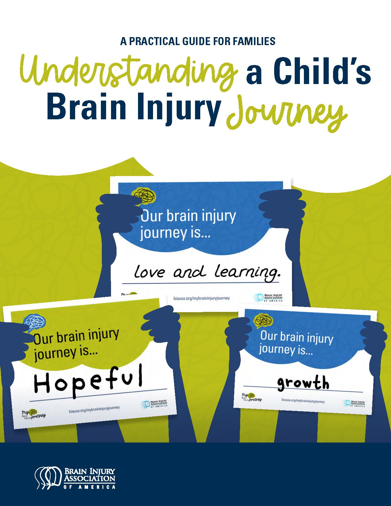 Practical Guide - Brain Injury Association of America