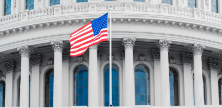 American flag in front of the Capitol building