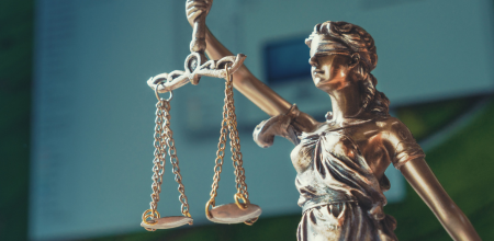 Addressing Brain Injury in the Criminal Legal System