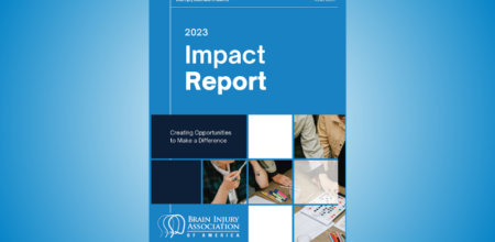 BIAA Publishes 2023 Impact Report